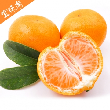 宜昌窑湾蜜桔 黄皮清甜蜜桔5斤装(25-30个)